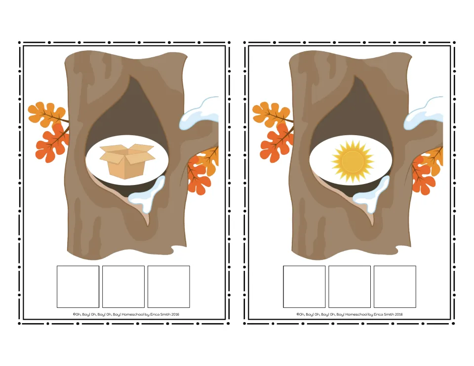 CVC picture cards 9–10 in the no-word set show a box and the sun for students to spell using letter tiles