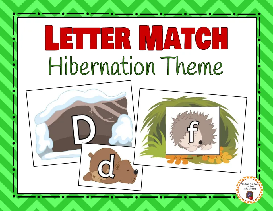 Hibernation letter match cover: uppercase D on a snowy cave card, lowercase d on a bear, and f on a hedgehog card