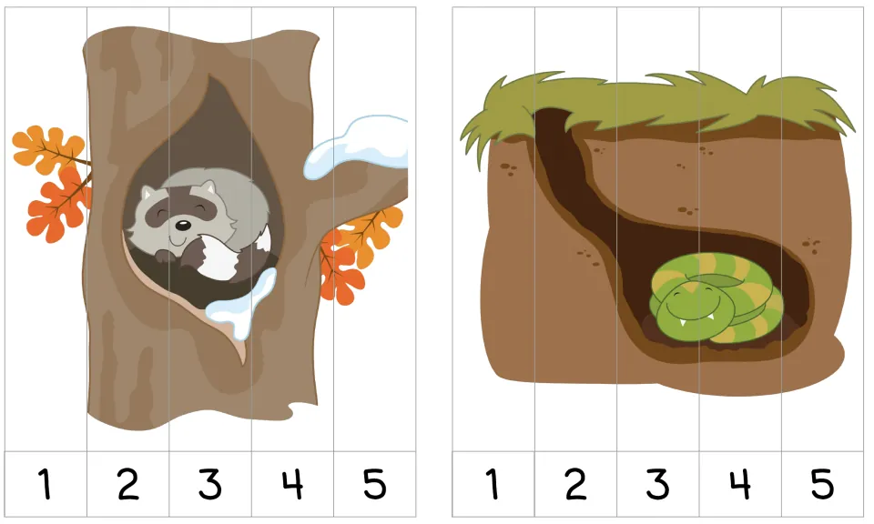 Two 1–5 number order puzzles: a raccoon asleep in a tree hollow and a snake coiled in an underground den