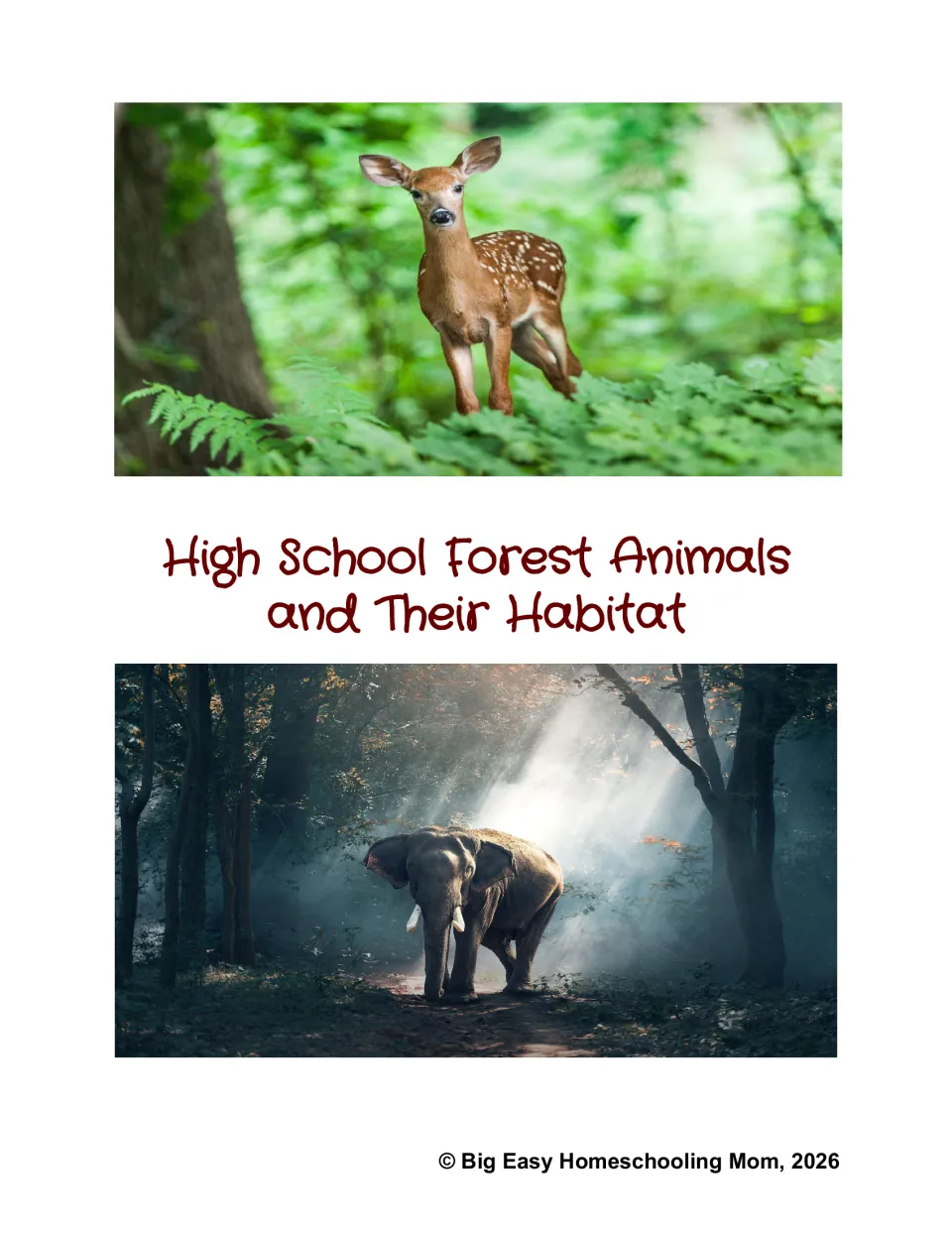 Cover of High School Forest Animals and Their Habitat, with photos of a fawn in ferns and an elephant in a misty forest