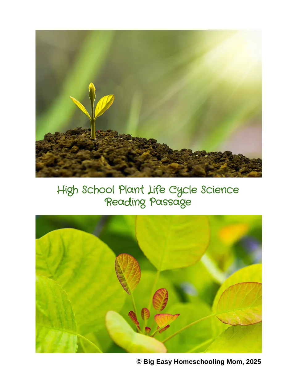 Cover: High School Plant Life Cycle Science Reading Passage with photos of a seedling sprouting from soil and leaves