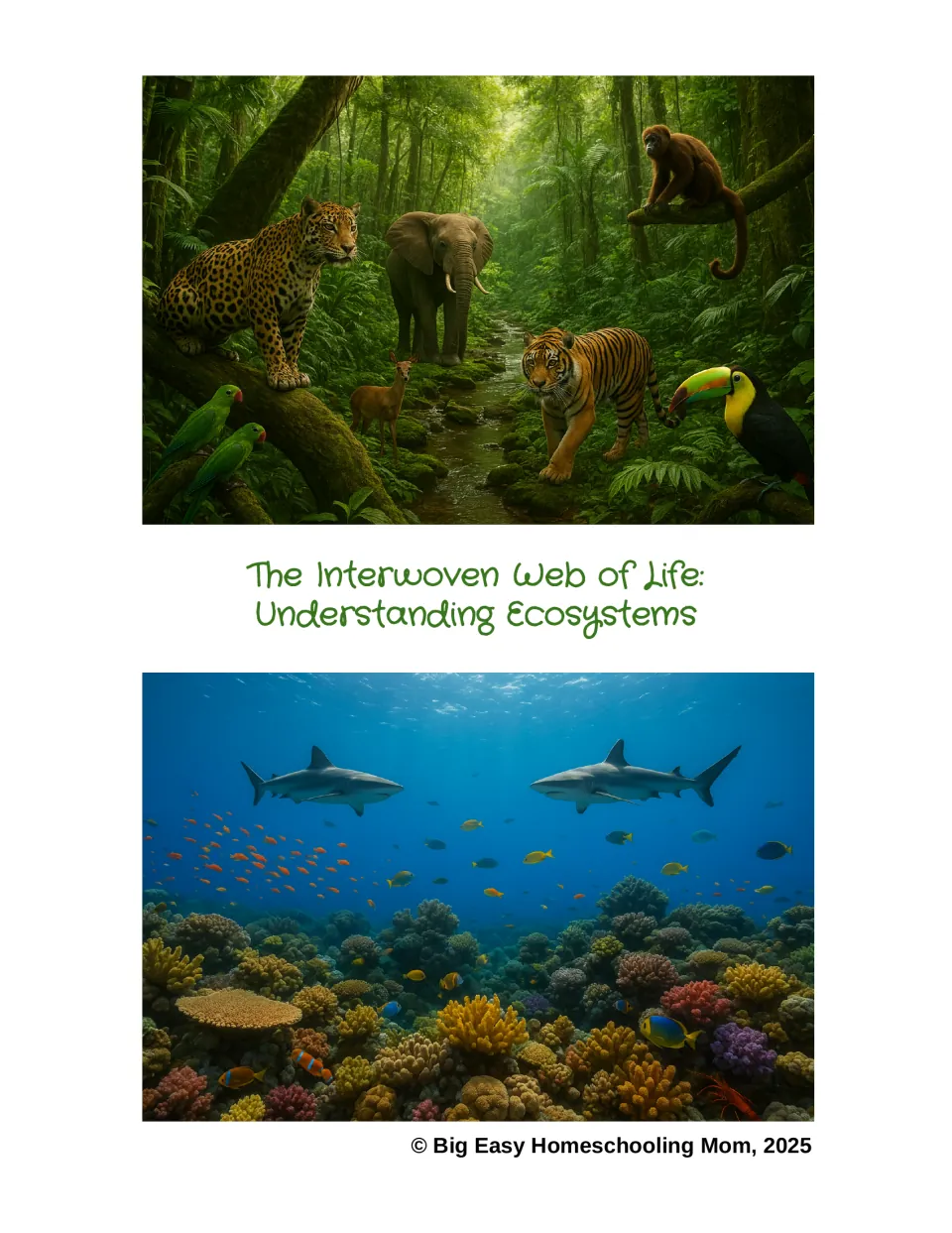Ecosystems reading packet cover titled 'The Interwoven Web of Life: Understanding Ecosystems'
