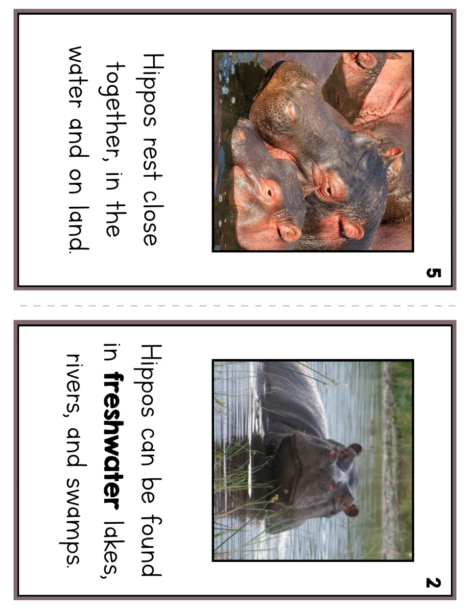 Reader pages 5 and 2 show hippos resting close together and describe their freshwater lakes, rivers, and swamps