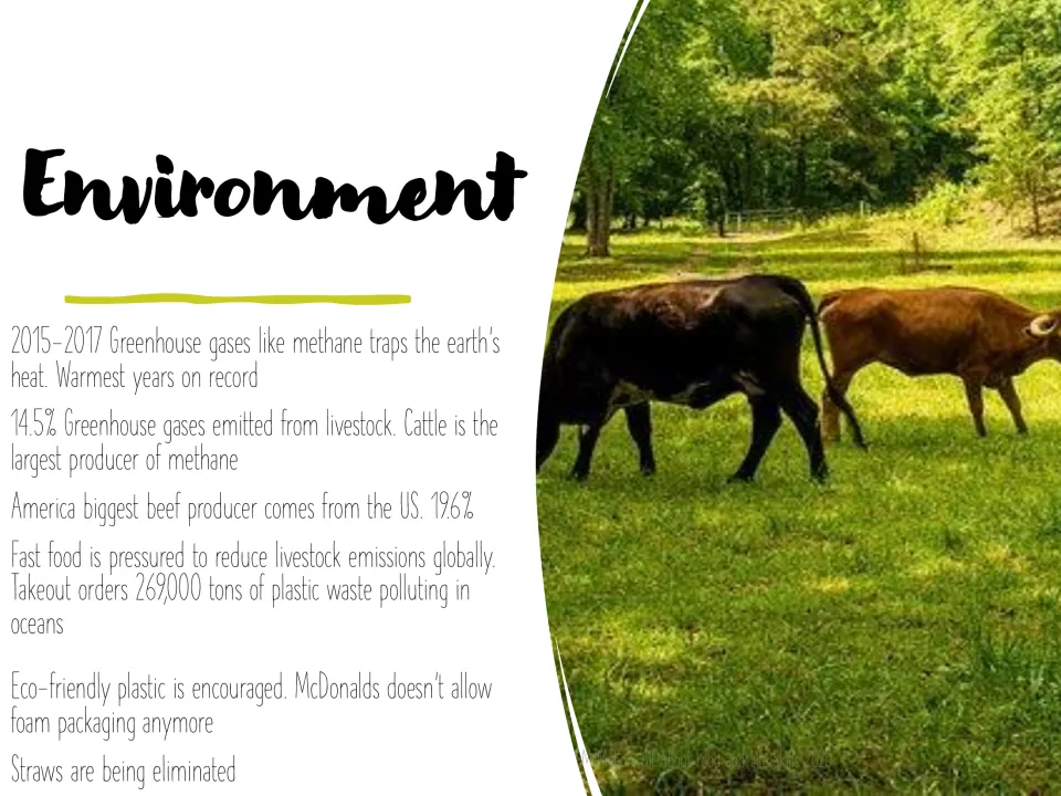 Environment slide on livestock methane emissions, takeout plastic waste in oceans and dropping foam packaging and straws