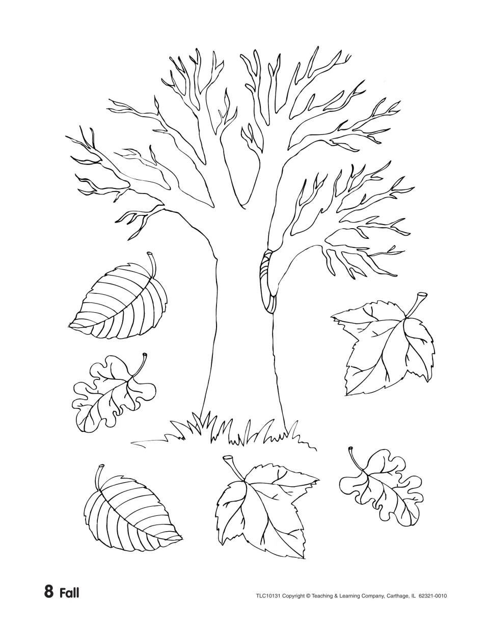 Autumn tree outline with bare branches surrounded by six falling leaves of three shapes to color and cut out