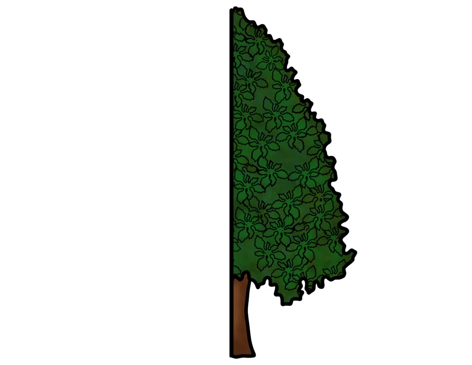 Right half of the holly tree cutout for the life cycle foldable craft, showing green foliage and a trunk