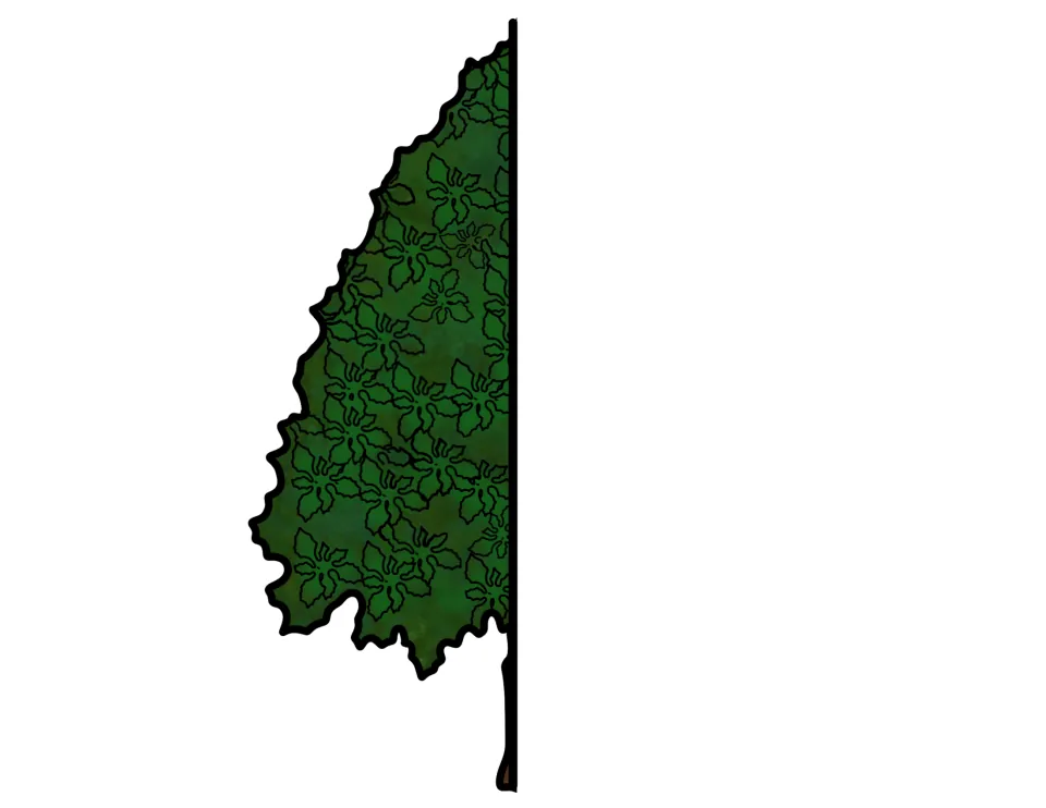 Left half of the holly tree cutout for the life cycle foldable craft, showing green foliage and a trunk