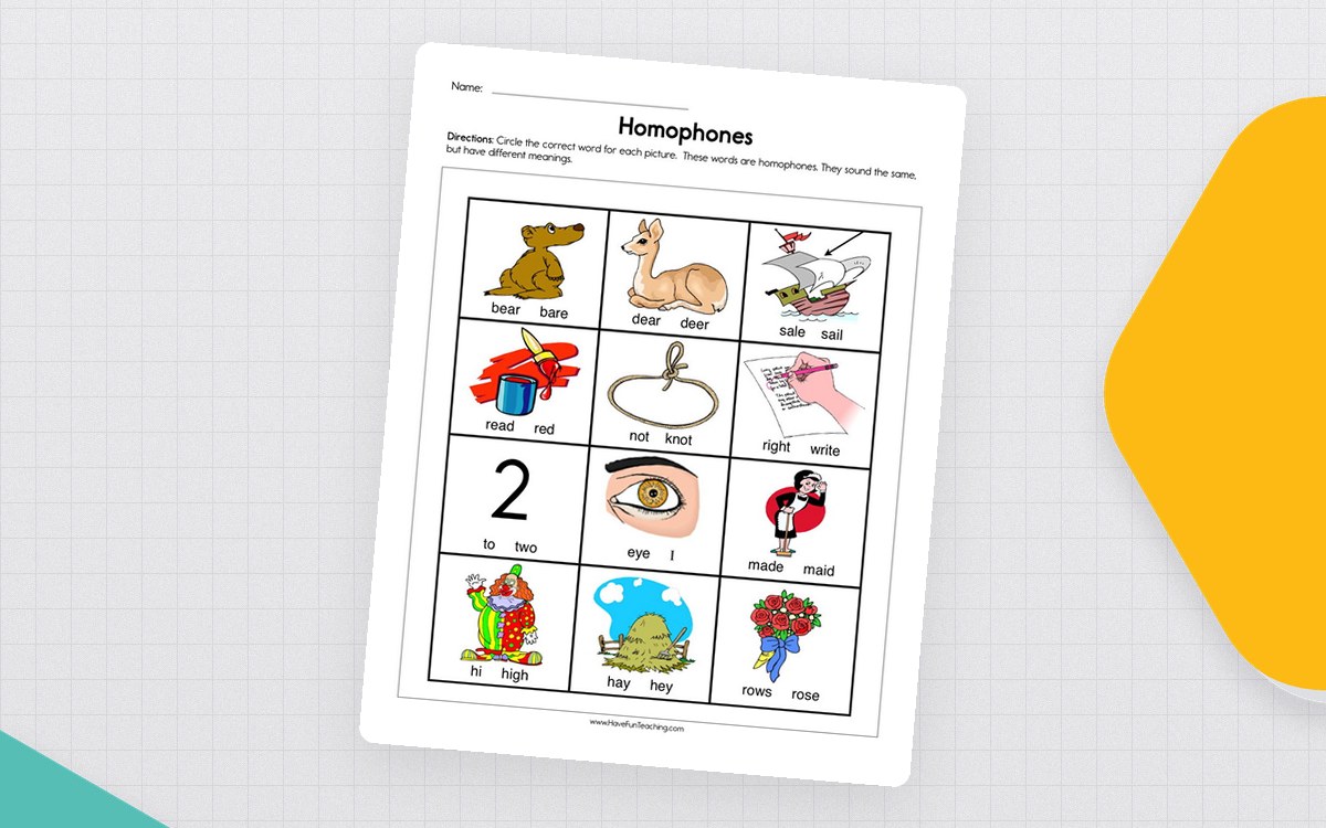 Homophones Worksheet teaching resource preview