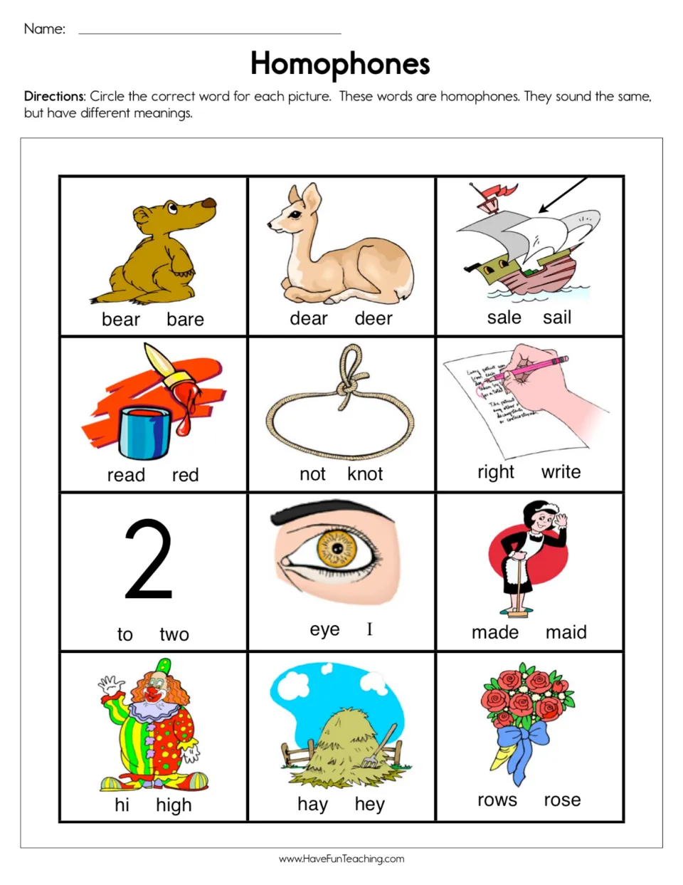 Homophones picture match: students circle the right word for 12 pictures, such as bear/bare, sail/sale and knot/not