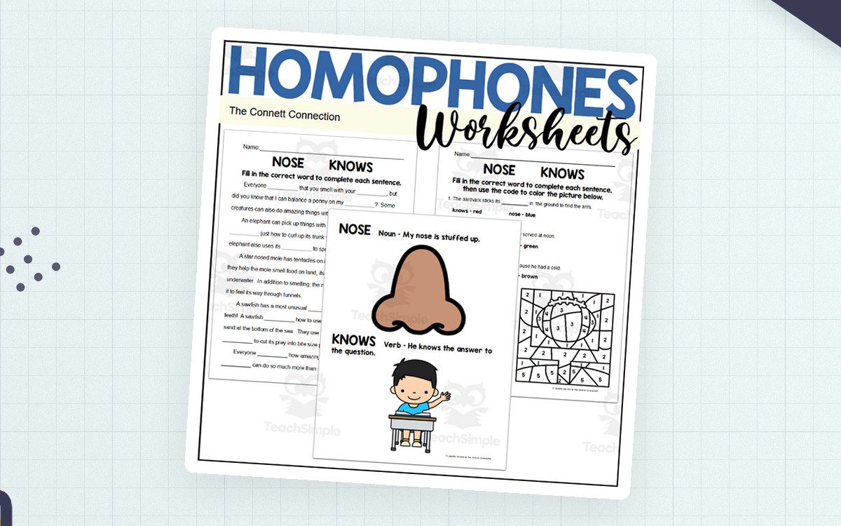Homophones Worksheets: Knows Nose teaching resource preview