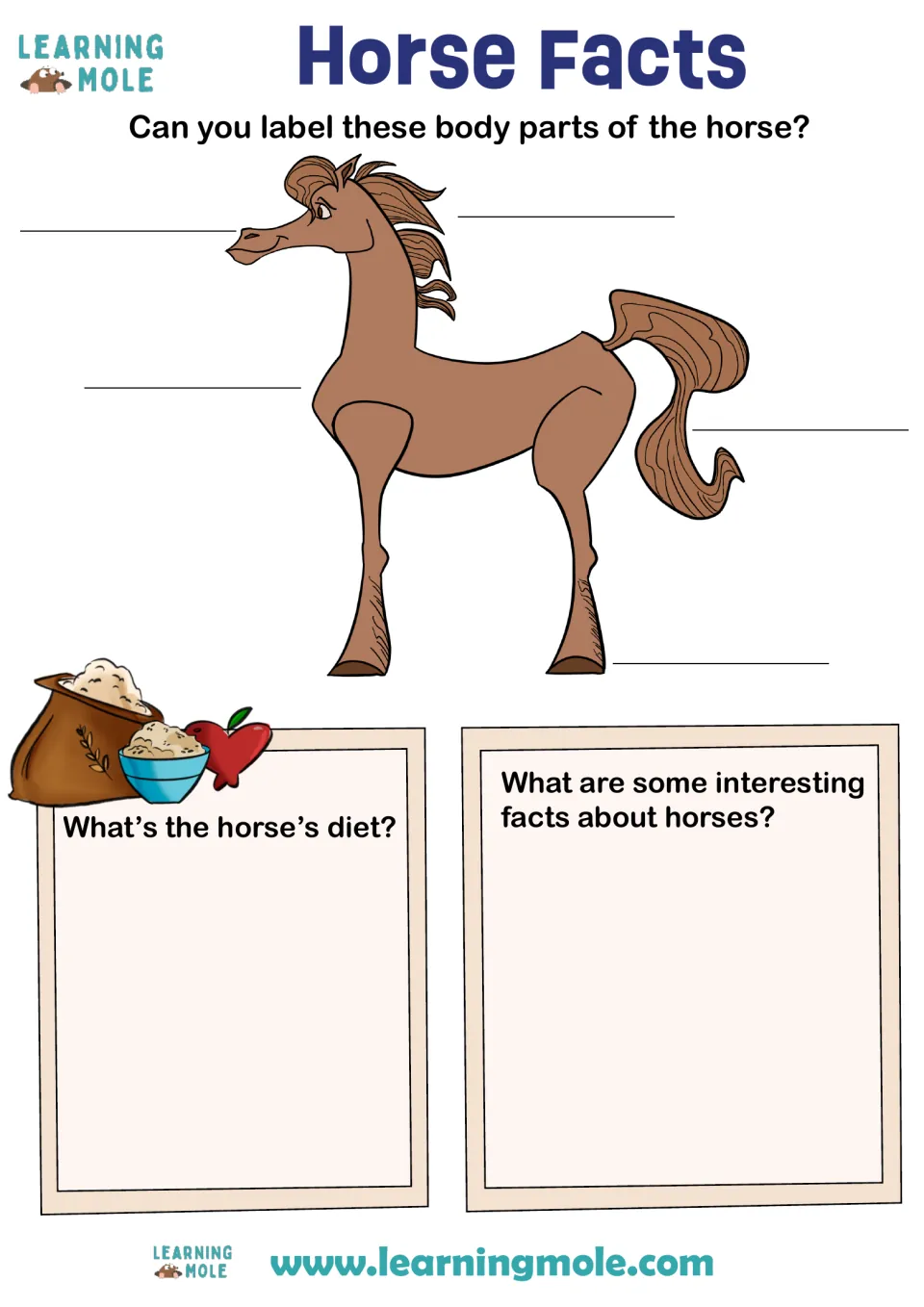 Horse Facts: students label five body parts on a horse drawing, then write about its diet and some interesting facts
