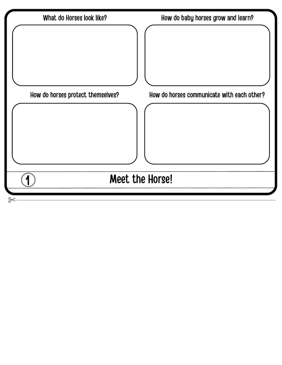 Meet the Horse flap 1: students answer how horses look, how foals grow and learn, protect themselves and communicate