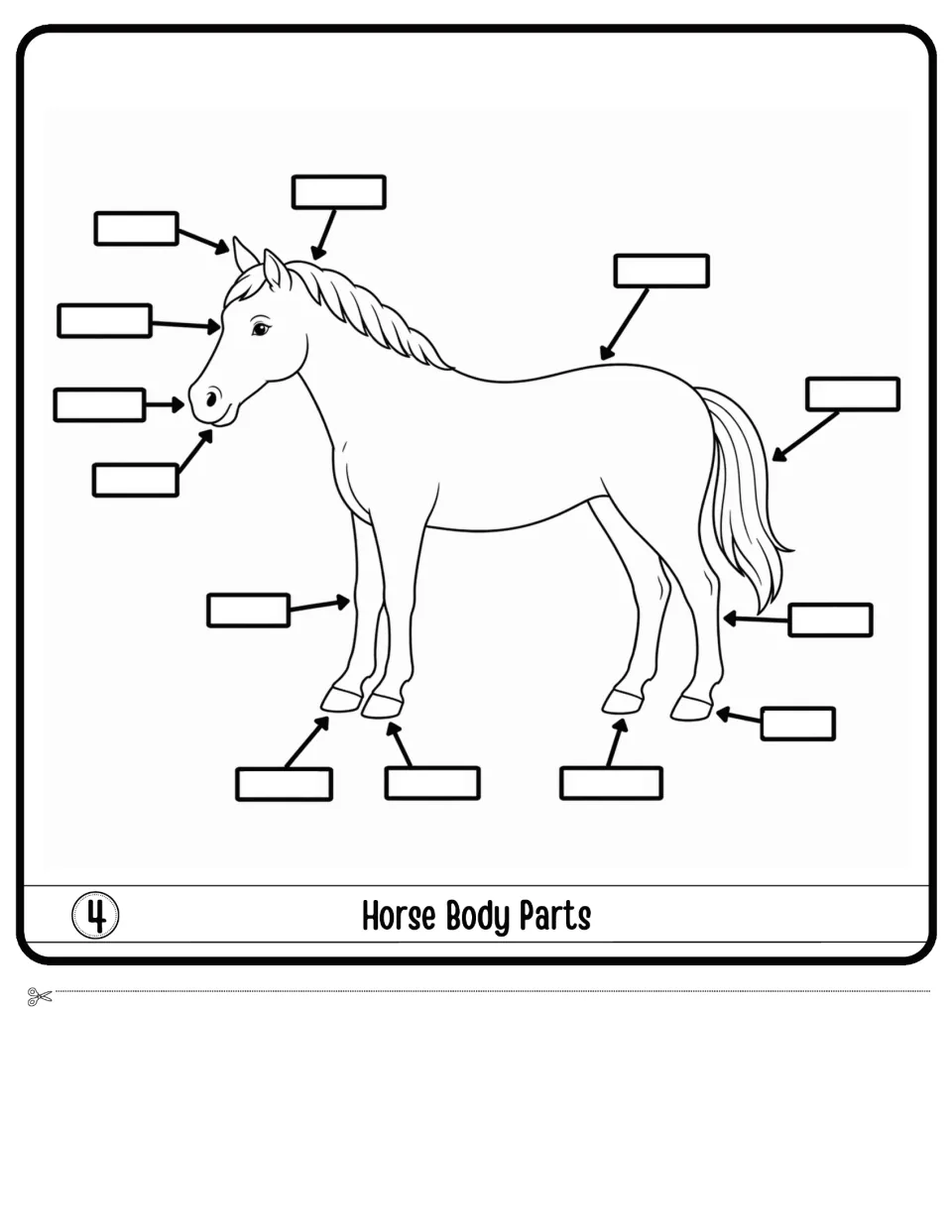 Horse Body Parts flap 4: students label 13 parts of a standing horse drawing, from ears and mane to tail and hooves