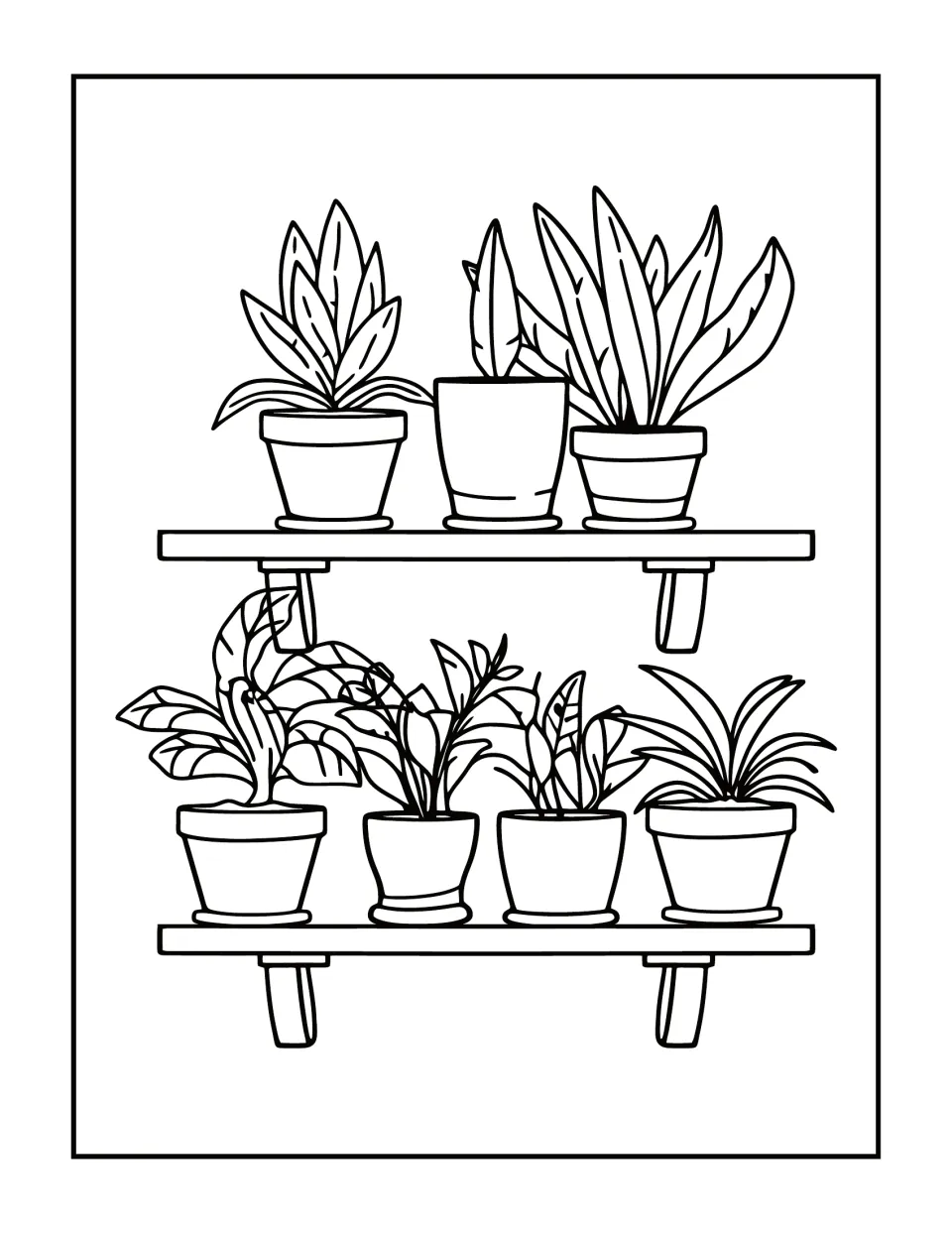 Plant shelf coloring page: students color seven different potted houseplants arranged on two wall shelves