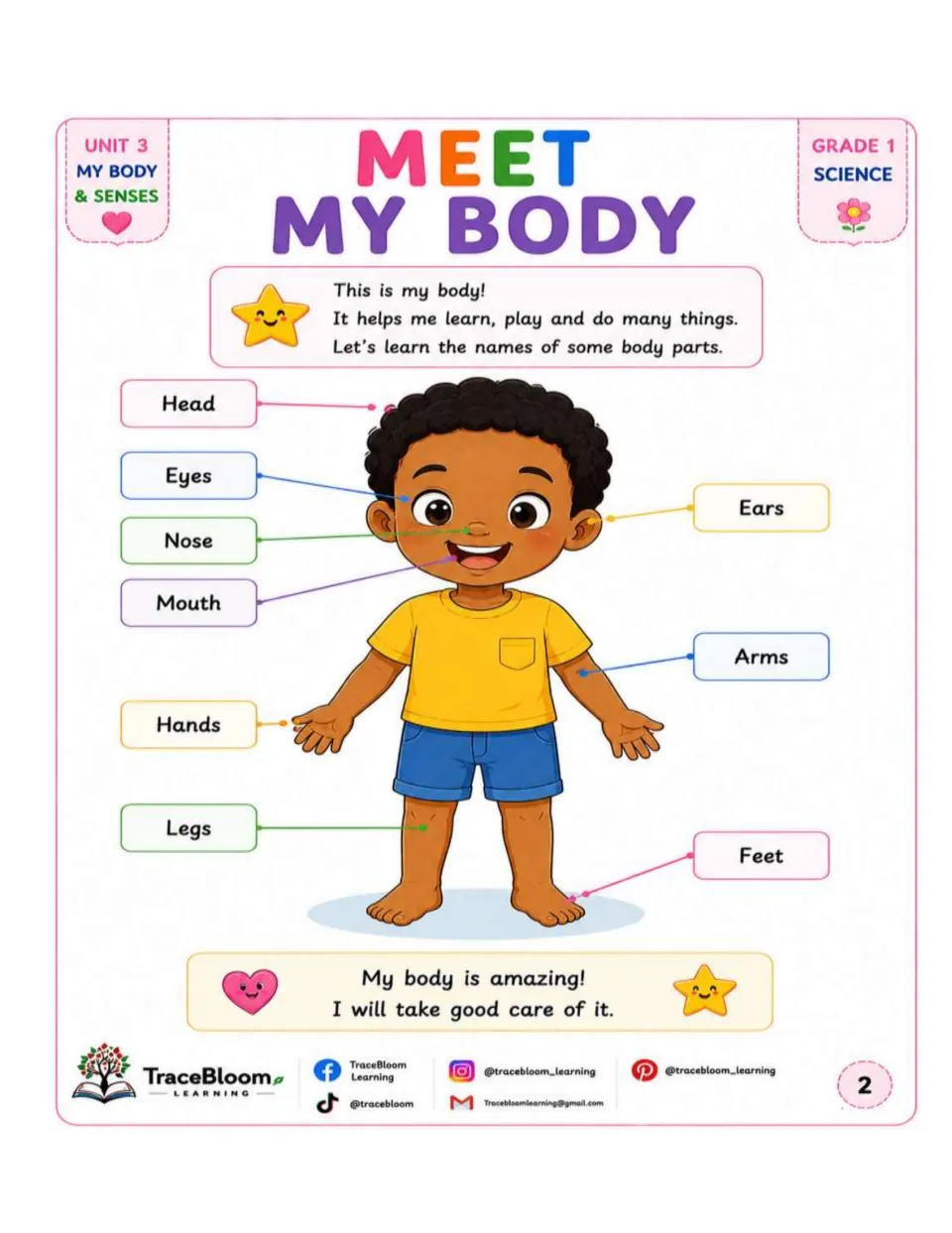 Body parts lesson diagram labels a boy's head, eyes, nose, mouth, ears, arms, hands, legs, and feet