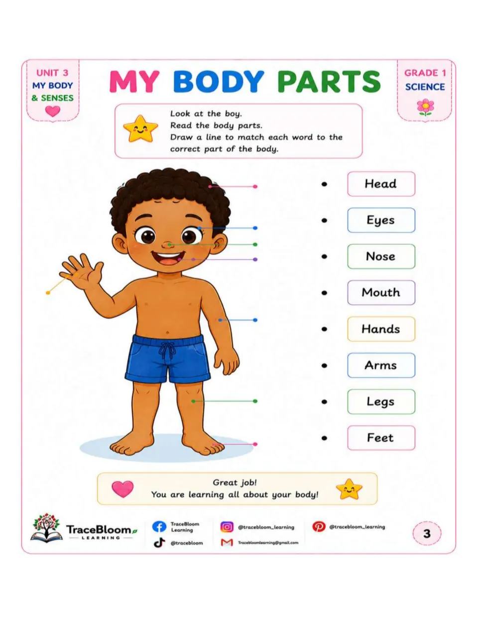 Body parts matching activity asks students to connect eight words, including head and hands, to a boy