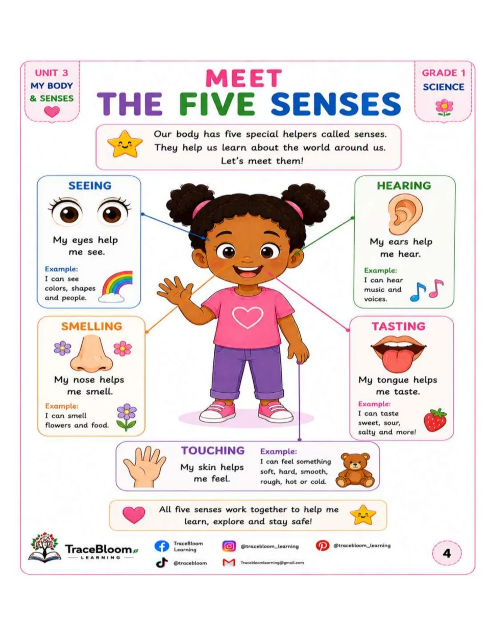 Five senses lesson links eyes to seeing, ears to hearing, nose to smelling, tongue to taste, and skin to touch