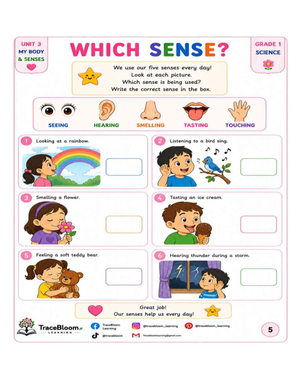 Sense identification activity uses six scenes, including seeing a rainbow and hearing a bird sing