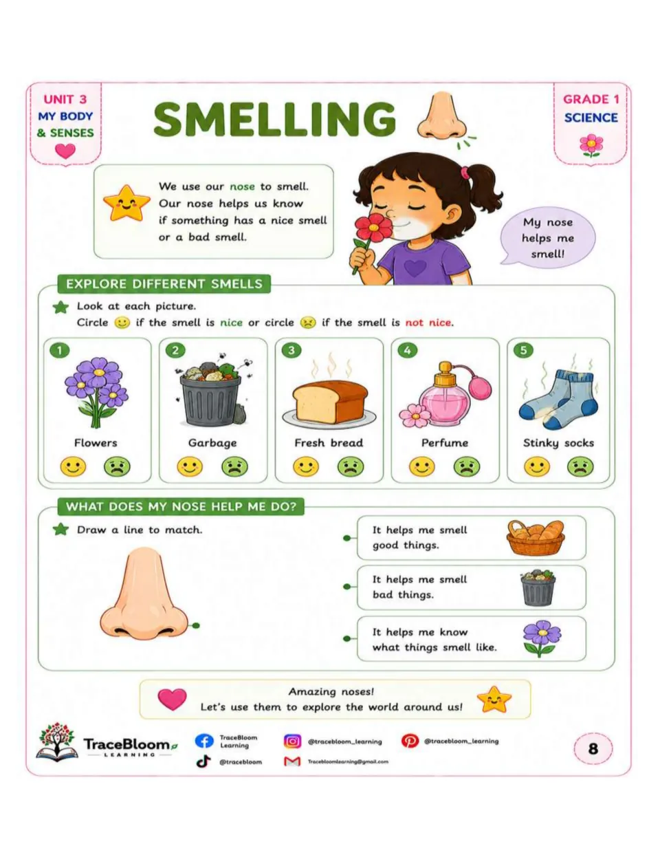 Smelling activity rates flowers, garbage, bread, perfume, and socks, then matches what the nose helps do