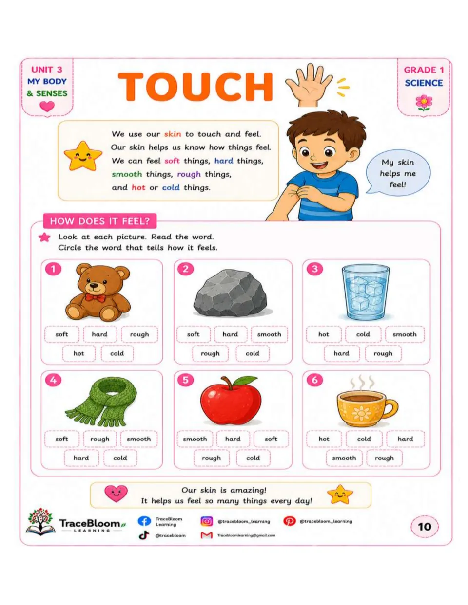 Touch activity asks students to circle how a teddy bear, rock, ice water, scarf, apple, and hot drink feel
