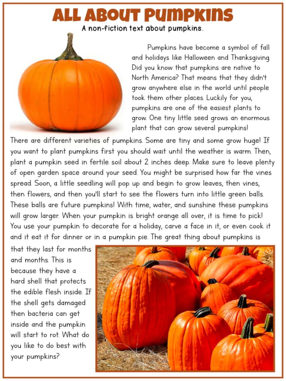 All About Pumpkins nonfiction passage explains pumpkin origins, planting, growth, harvesting, uses, and rot
