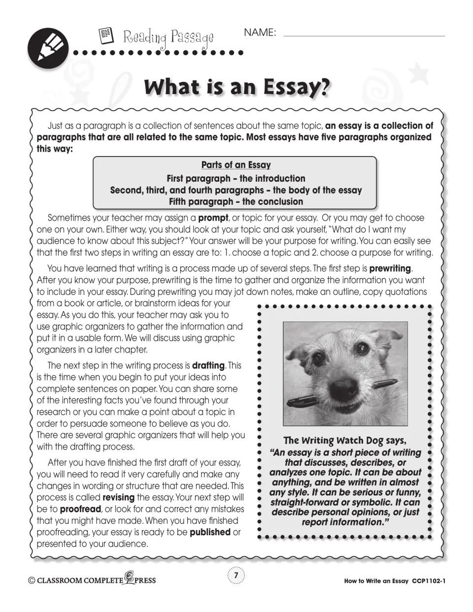 Reading passage 'What is an Essay?': the five-paragraph structure and writing steps from prewriting to publishing