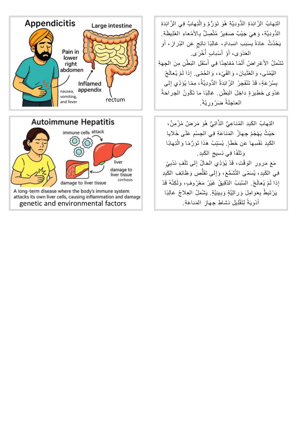 Illustrated appendicitis and autoimmune hepatitis flashcards paired with Arabic informational text cards