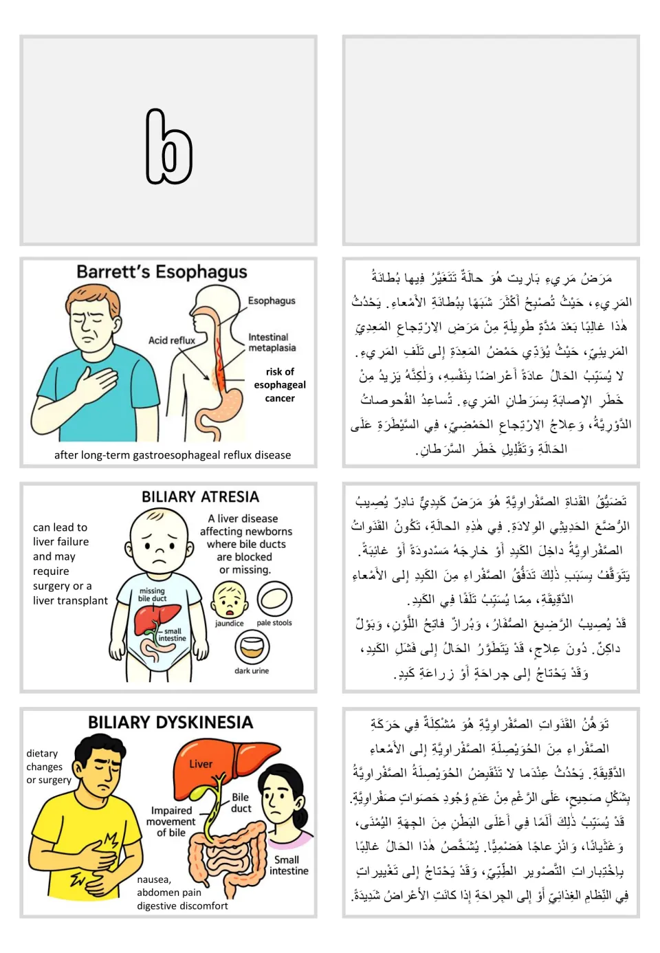 B section cards with Arabic text: Barrett’s esophagus, biliary atresia, and biliary dyskinesia illustrations