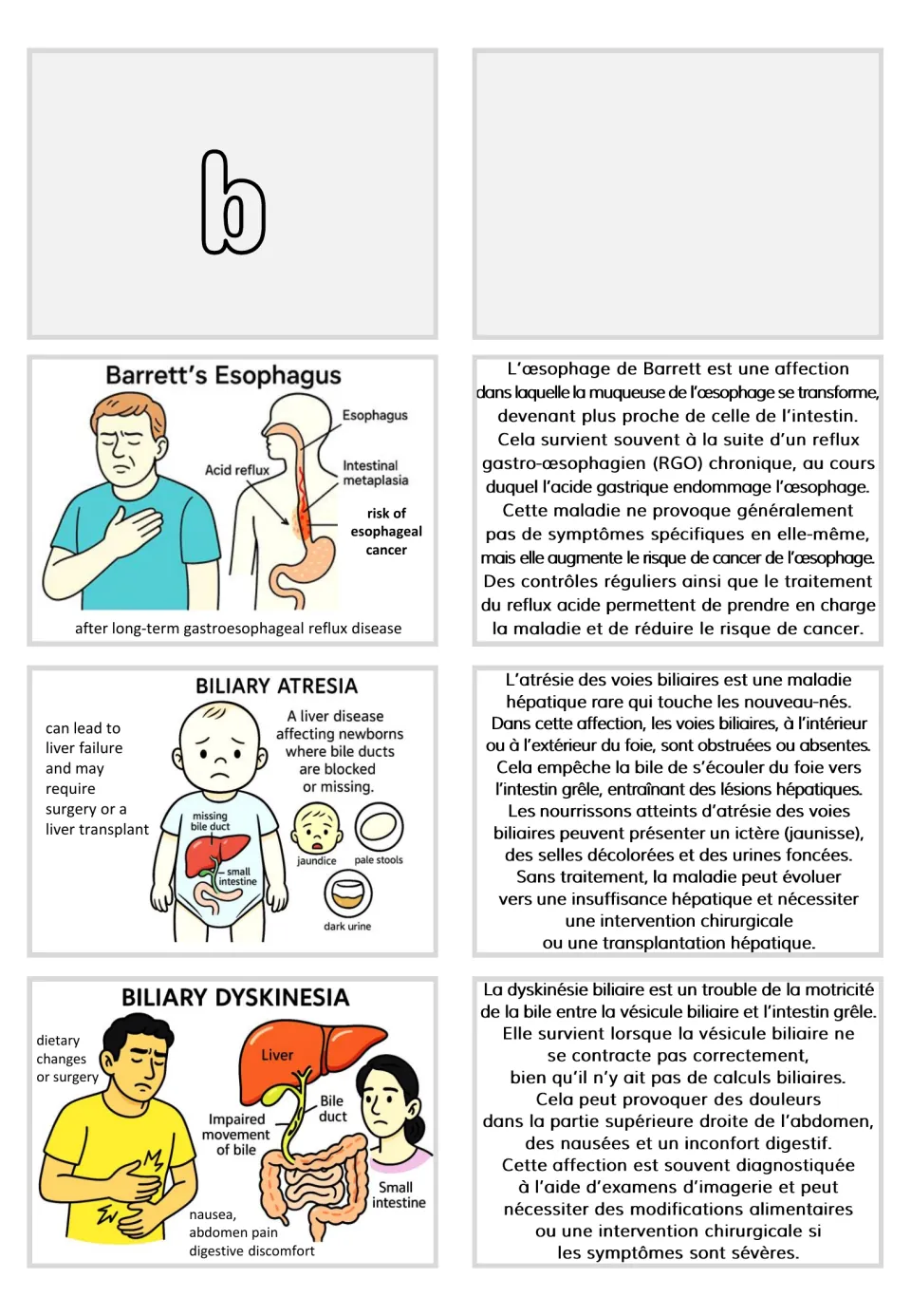 Section B card pairs: Barrett’s esophagus, biliary atresia, and biliary dyskinesia with French explanations