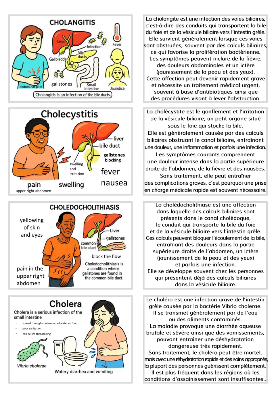 Four card pairs cover cholangitis, cholecystitis, choledocholithiasis, and cholera with French explanations