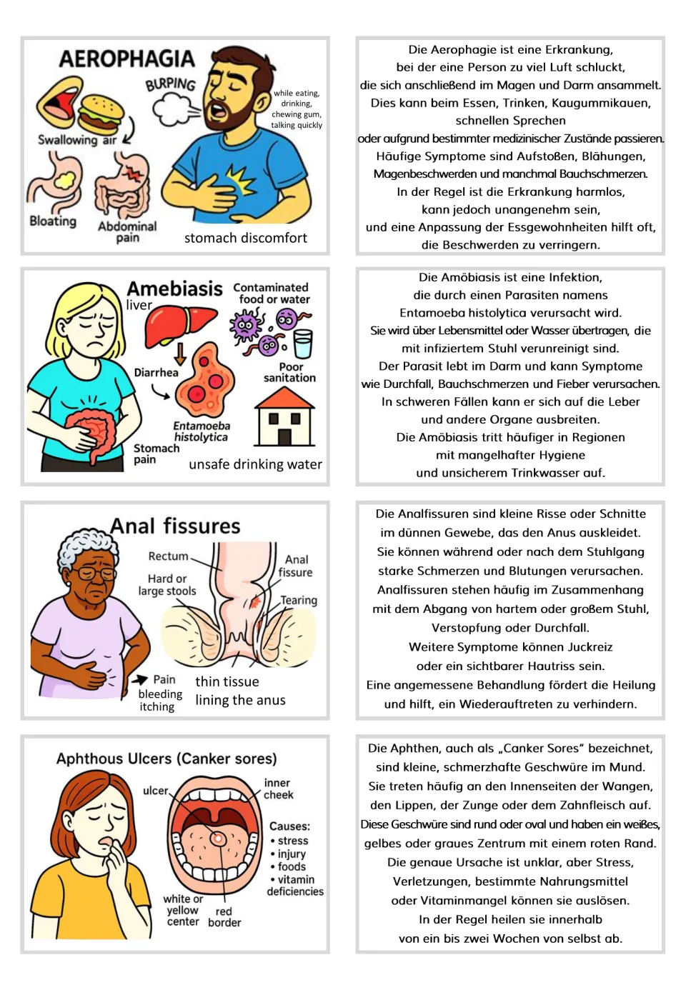 Flashcards for aerophagia, amebiasis, anal fissures, and aphthous ulcers paired with German explanations