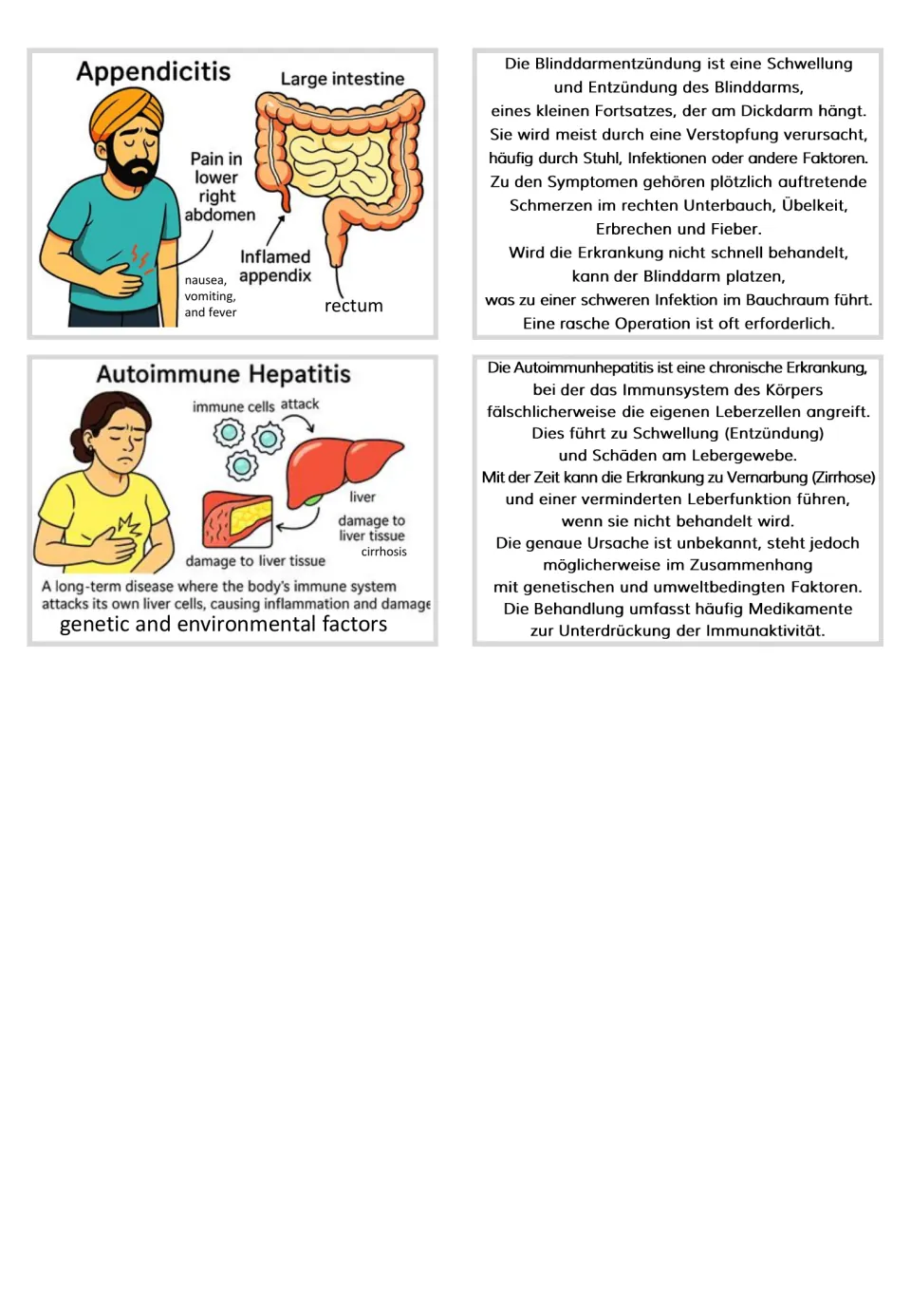 Appendicitis and autoimmune hepatitis flashcards pair labeled medical illustrations with German explanations