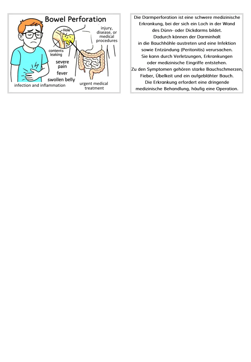 Bowel perforation flashcard pairs a labeled intestinal diagram and symptom illustrations with German text