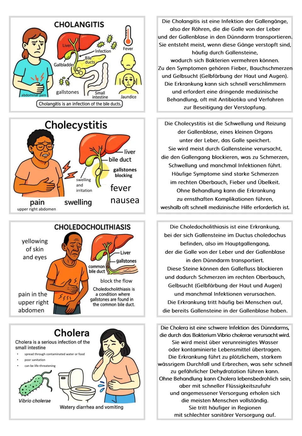 Cholangitis, cholecystitis, choledocholithiasis, and cholera flashcards paired with German explanations