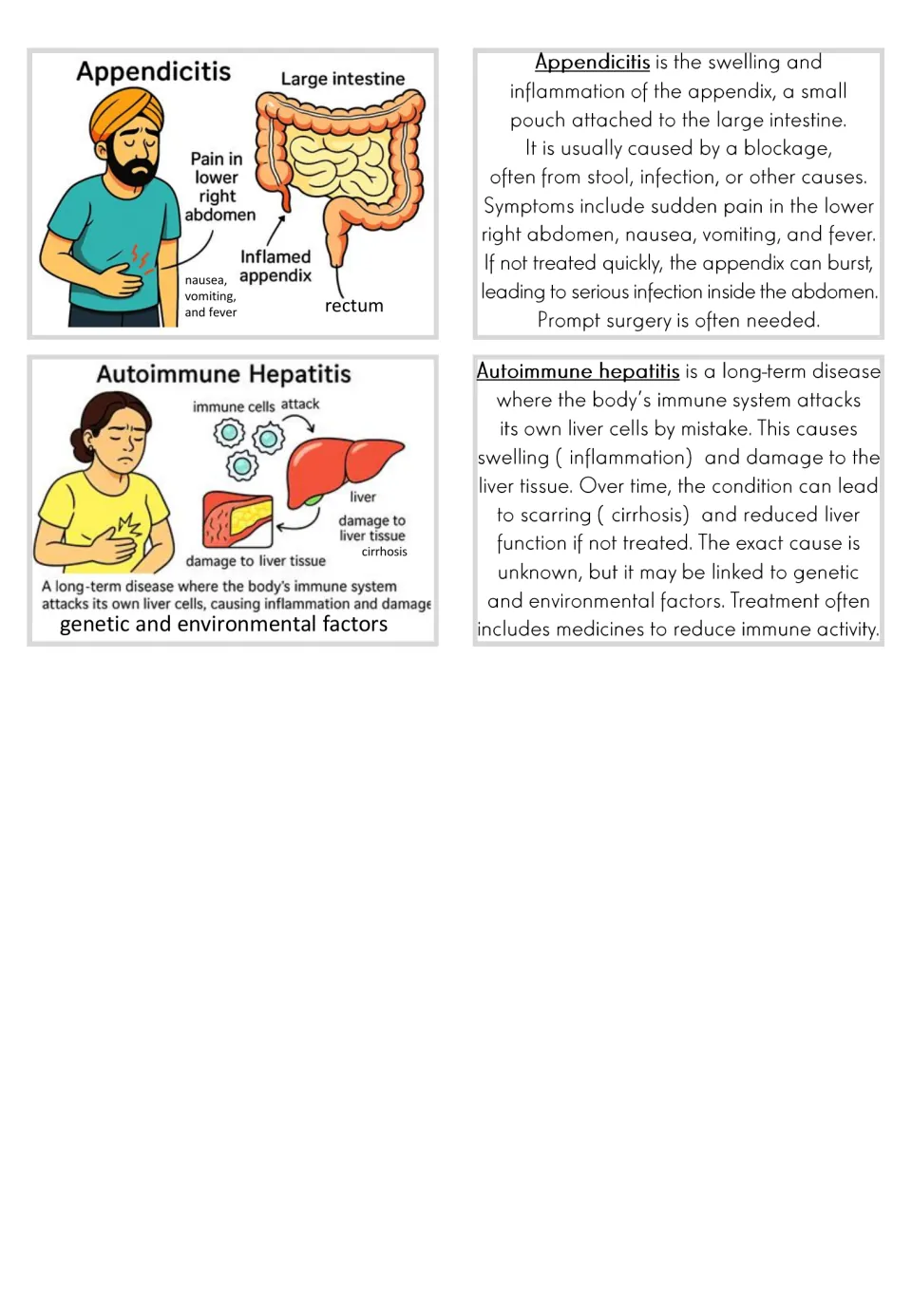Illustrated flashcards and matching text for appendicitis and autoimmune hepatitis, including symptoms
