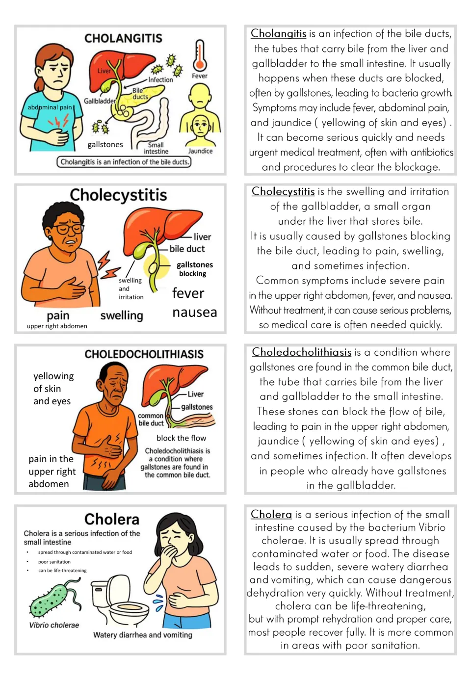 Illustrated flashcards and matching text for cholangitis, cholecystitis, choledocholithiasis, and cholera