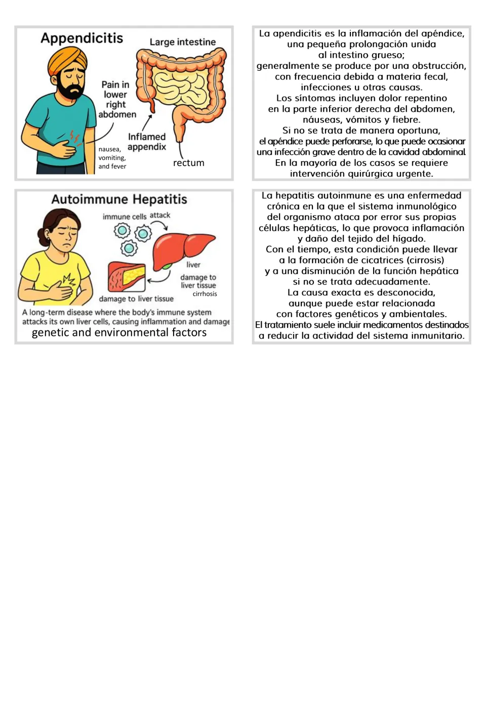 Appendicitis and autoimmune hepatitis illustrated flashcards paired with Spanish informational cards