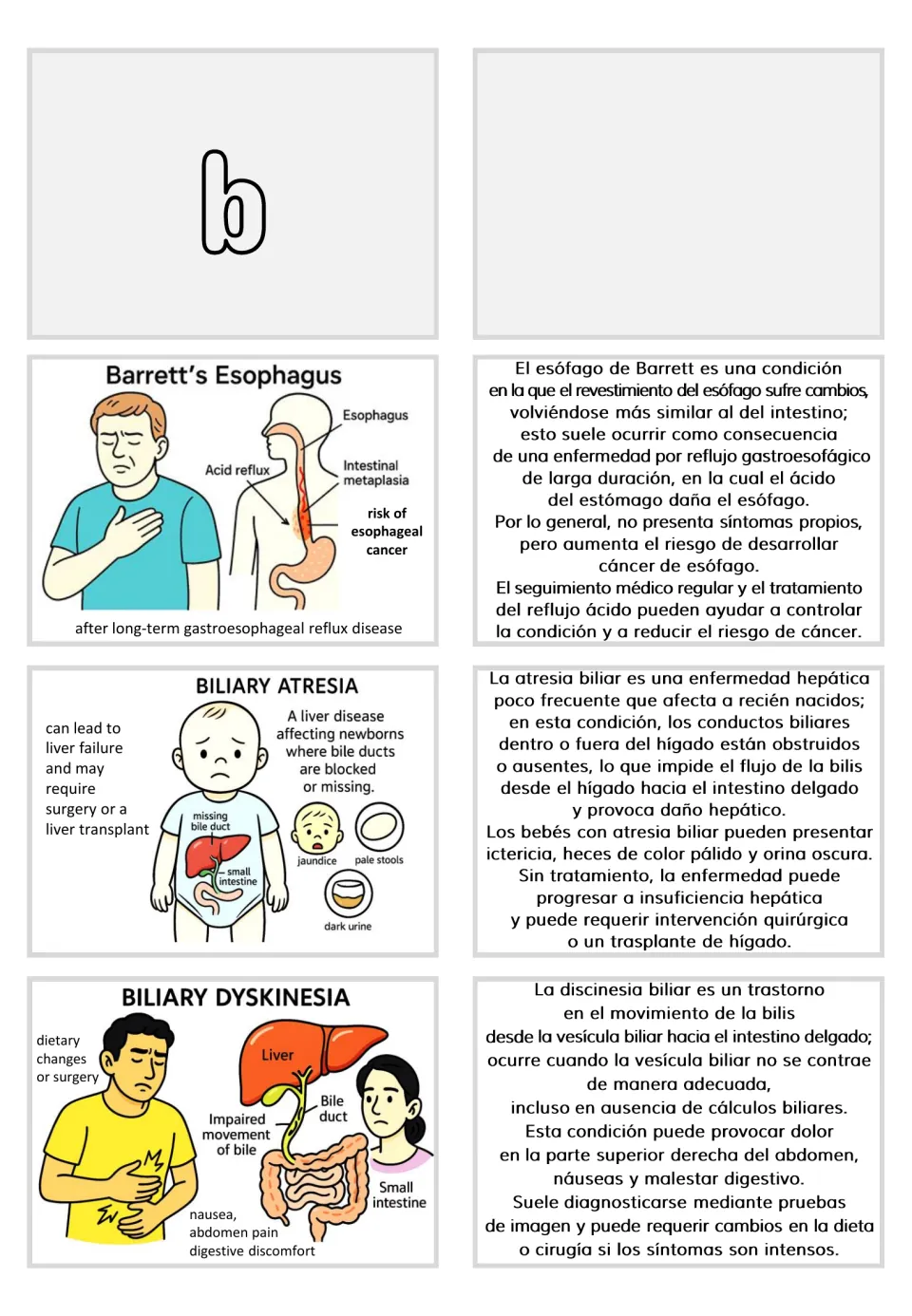 B divider and paired cards on Barrett’s esophagus, biliary atresia and biliary dyskinesia, with Spanish text