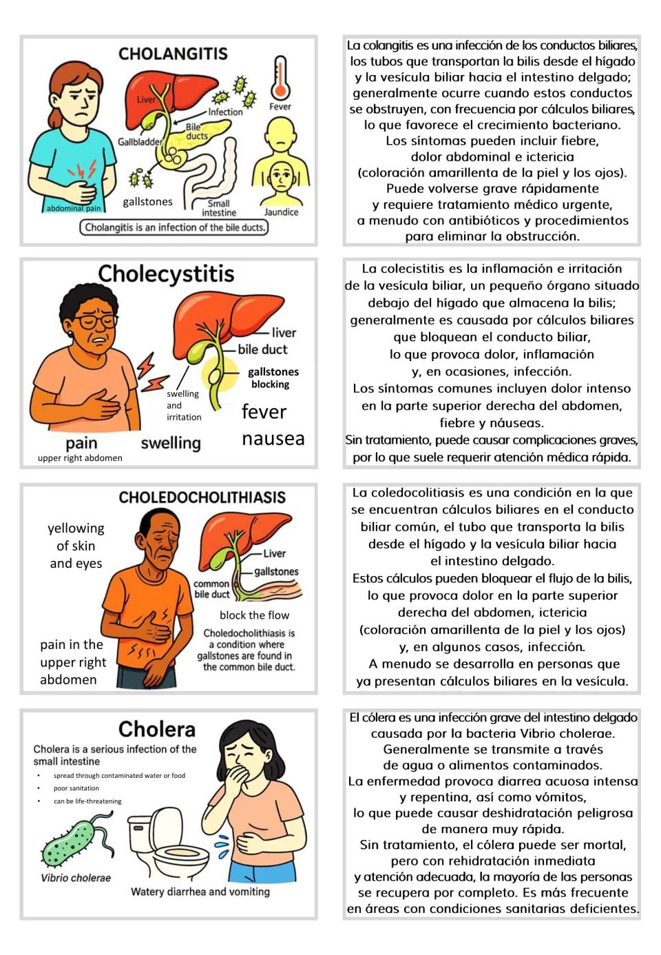 Paired cards on cholangitis, cholecystitis, choledocholithiasis and cholera, with Spanish informational text