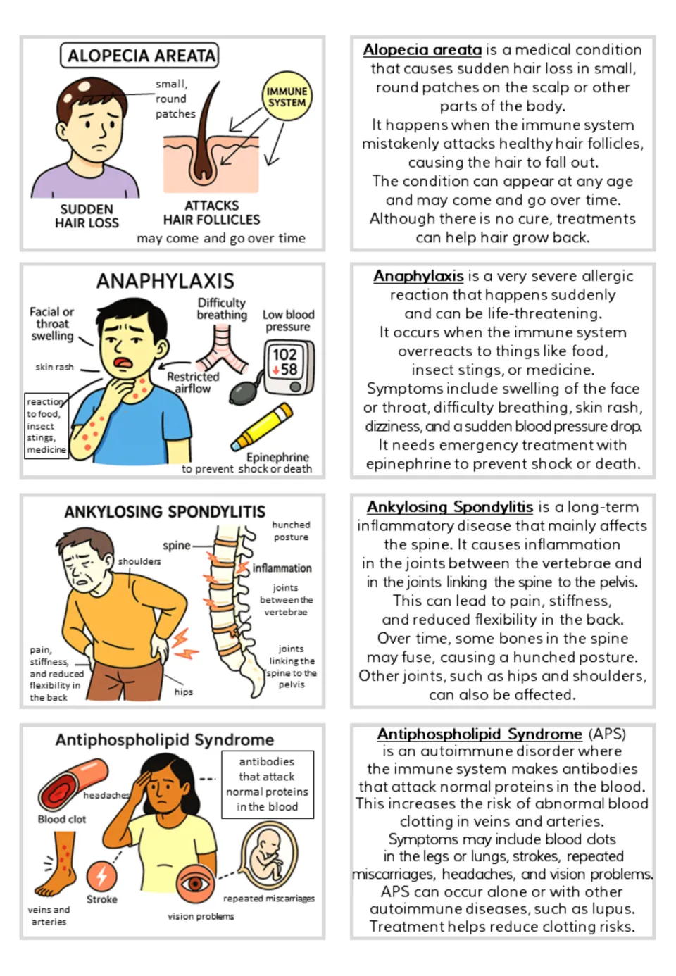 Flashcard pairs for alopecia areata, anaphylaxis, ankylosing spondylitis, and antiphospholipid syndrome