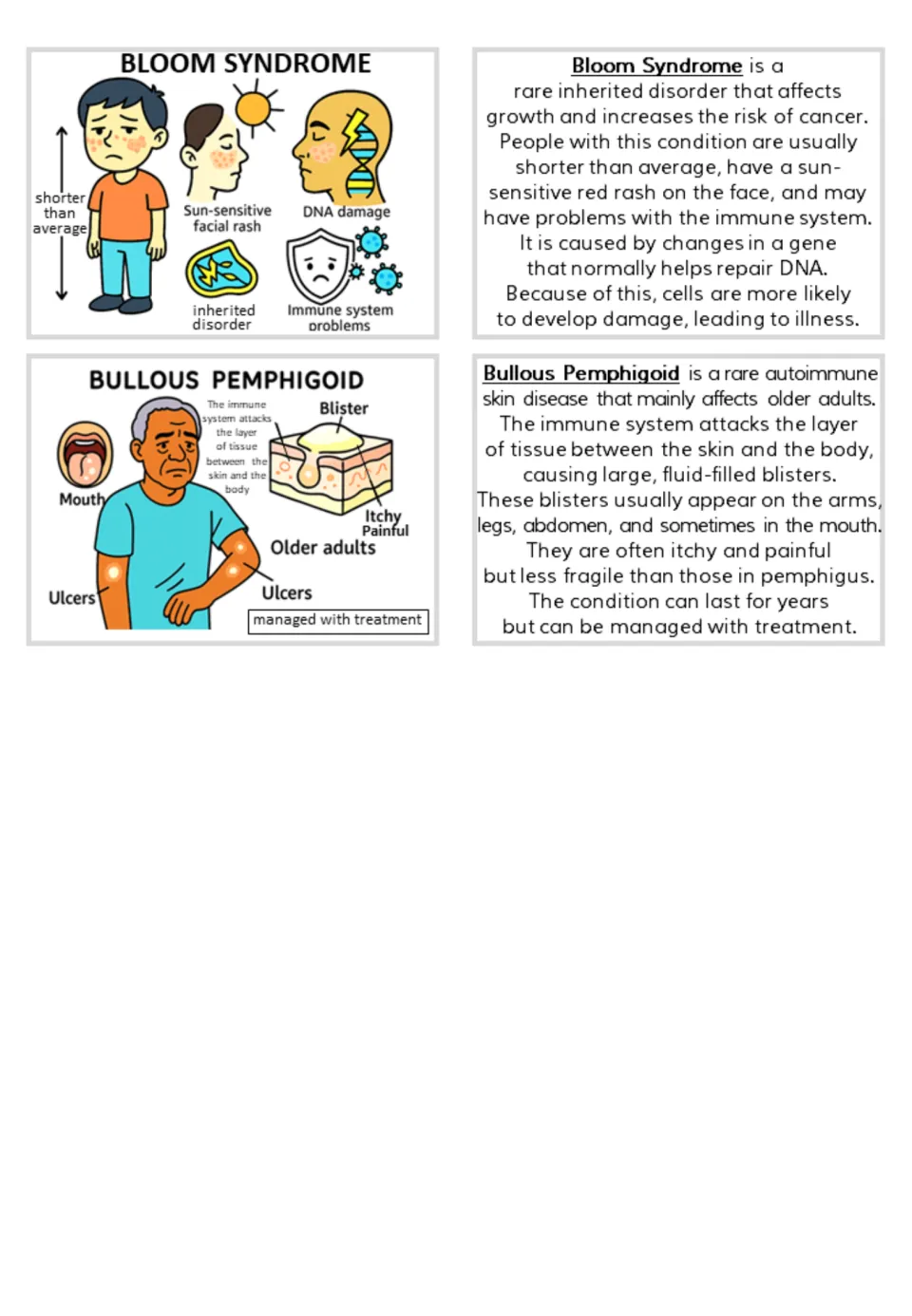 Flashcard pairs for Bloom syndrome and bullous pemphigoid, with illustrations and matching information