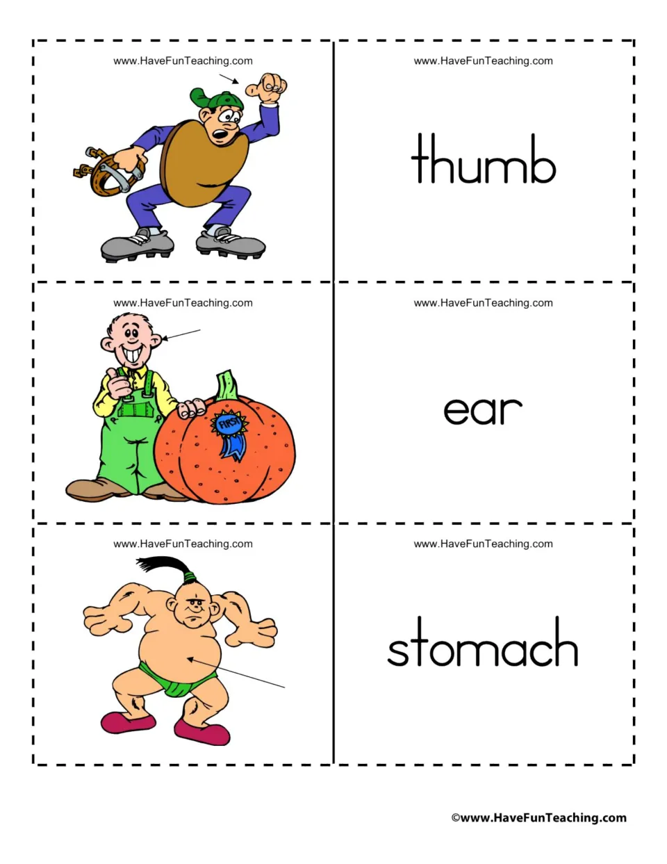 Body-part flashcard sheet pairing the words thumb, ear, and stomach with pictures marked by arrows