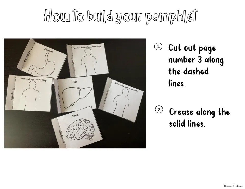 Pamphlet assembly steps 1-2: cut out page 3 along the dashed lines, then crease the solid lines; photo of cut organ flaps