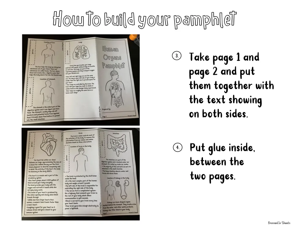Pamphlet assembly steps 3-4: put pages 1 and 2 back to back with text showing on both sides and glue between them