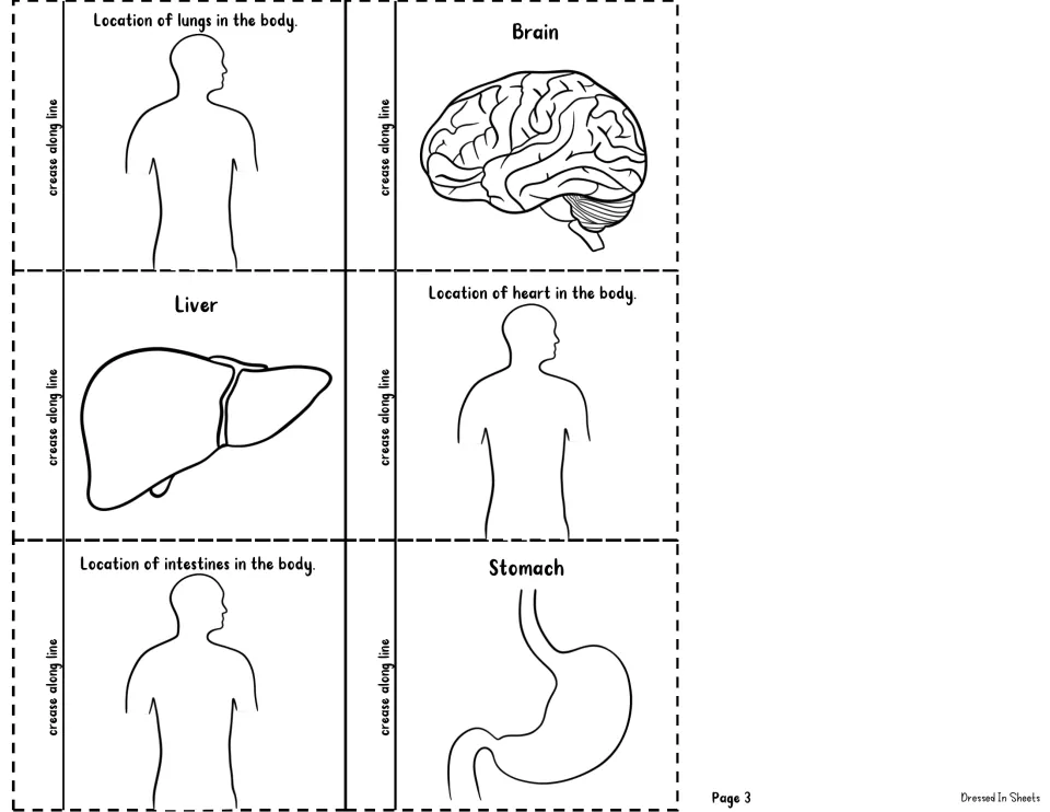 Cut-out pieces: six organ flaps, brain, liver and stomach drawings plus body outlines for locating lungs, heart, intestines