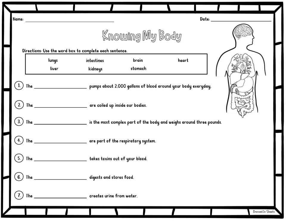 Knowing My Body: students fill in 7 sentences about organ functions using a word box of lungs, heart, liver and more