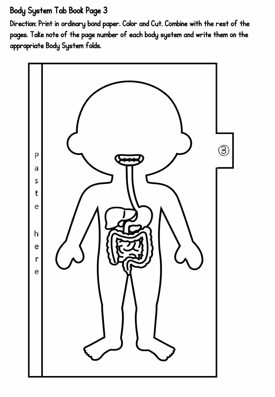 Digestive system tab page 3: students color and cut out a body outline showing esophagus, liver, stomach and intestines