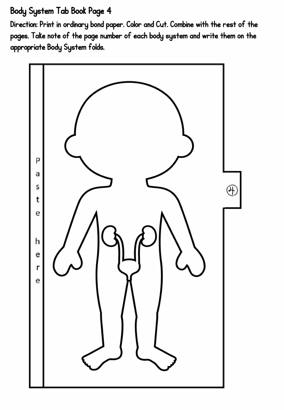 Urinary system tab page 4: students color and cut out a body outline showing two kidneys, ureters and the bladder