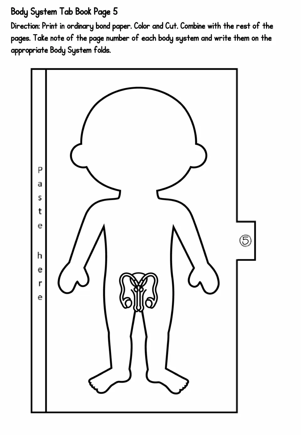 Reproductive system tab page 5: students color and cut out a body outline with a male reproductive organ drawing