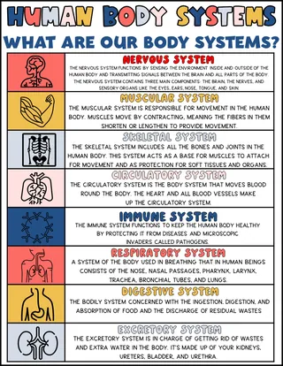 Human Body Systems Printable – Visual Reference – cover